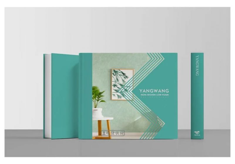 焕新墙面美学，洛阳榴莲视频在线观看APP新品《仰望》上市！